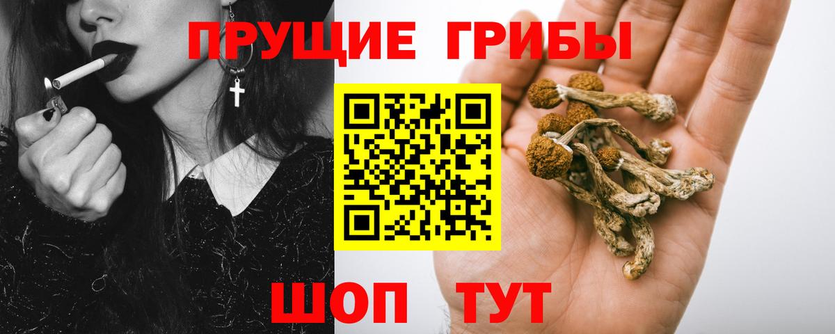 Качканар  Псилоцибиновые грибы мухоморы  Вход с VPN 